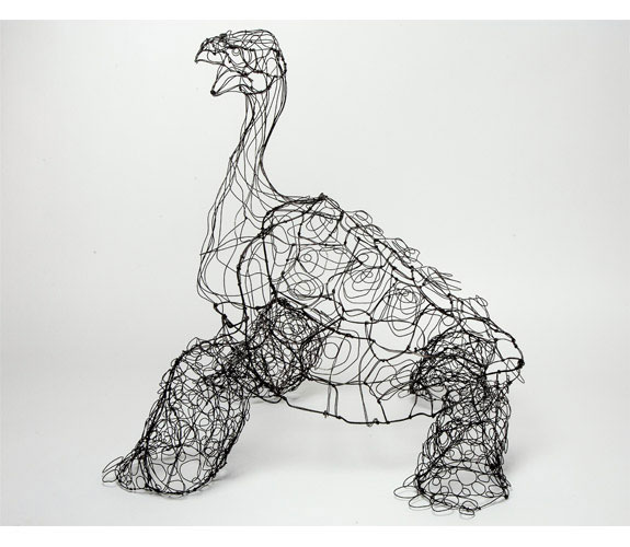 Colleen Cotey "Lonesome George, The Last Pinta Island Tortoise"